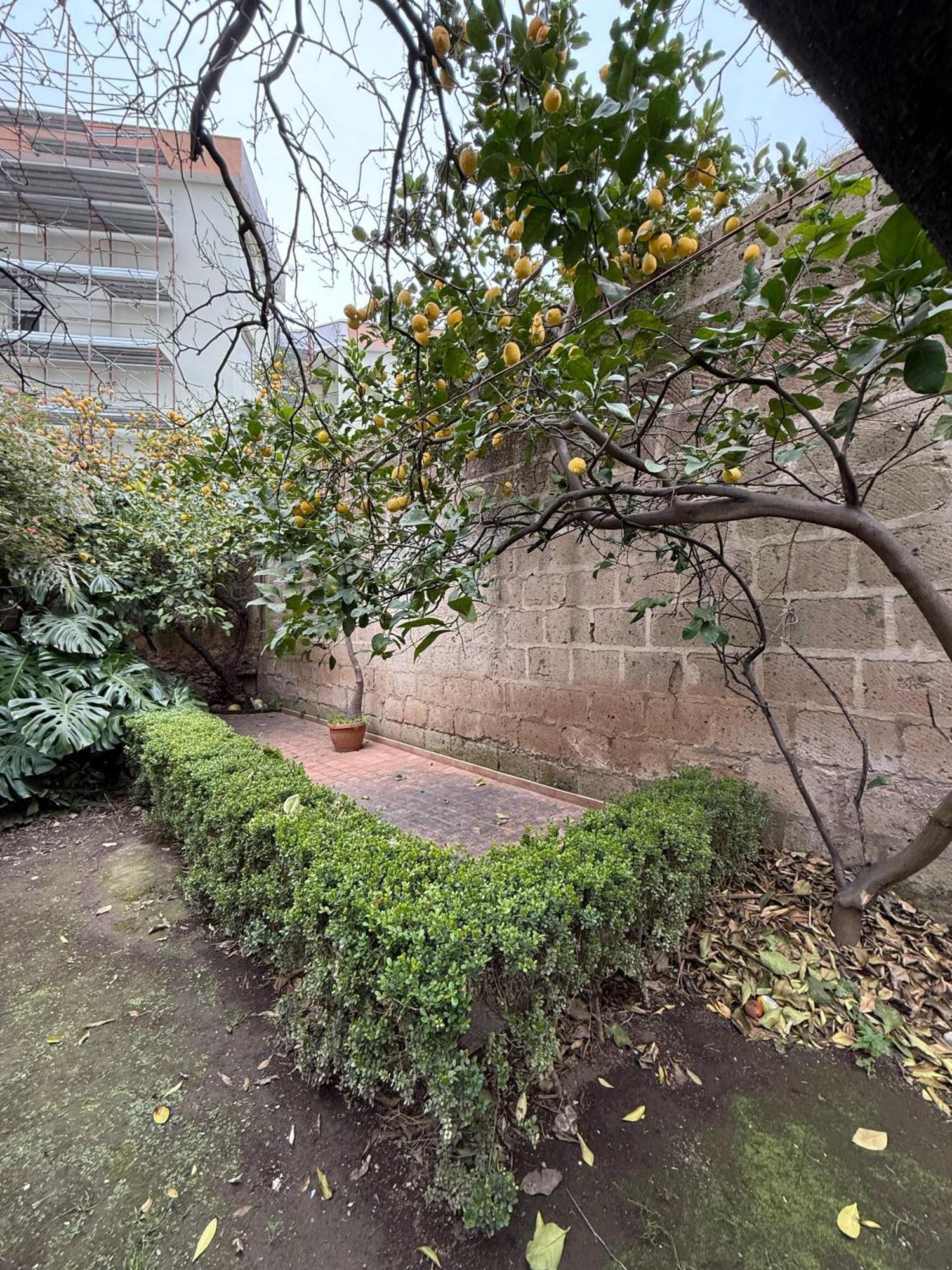 La Lanciolla Apartman Maddaloni Kültér fotó